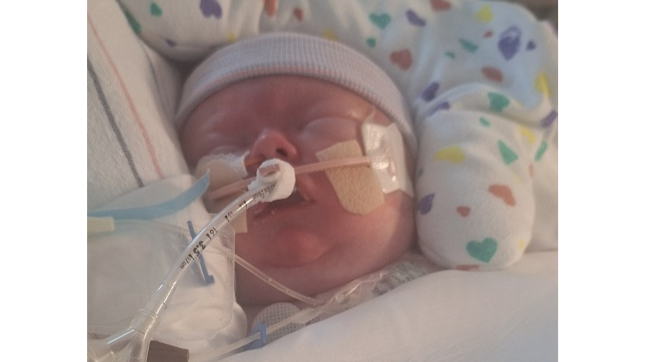 Help Maddie's Miracle